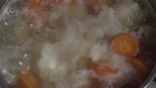 Cenouras com ensopado de batatas em uma panela — Vídeo de Stock