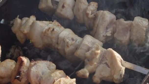 Hühnerfleisch auf Spießen über Holzkohle gekocht — Stockvideo