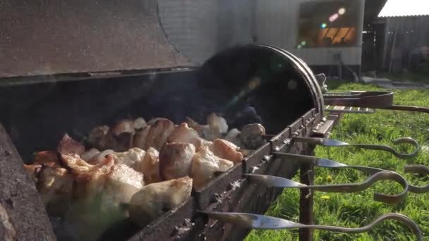 Kippenvlees op spiesjes gekookt op houtskool — Stockvideo