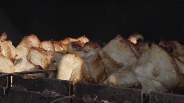 Carne de pollo en pinchos cocidos sobre carbón vegetal — Vídeo de stock