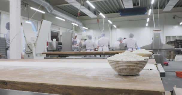 面包输送机生产。人们用新鲜的面团工作 — 图库视频影像
