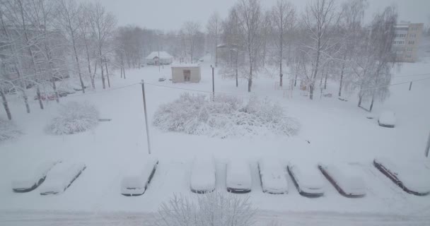 Voitures couvertes de neige dans le parking — Video