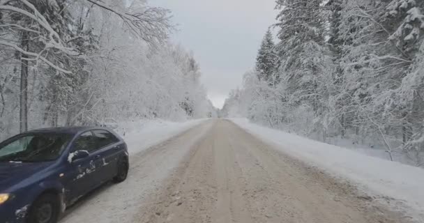 Trasig bil på sidan av vägen i vinterskogen — Stockvideo