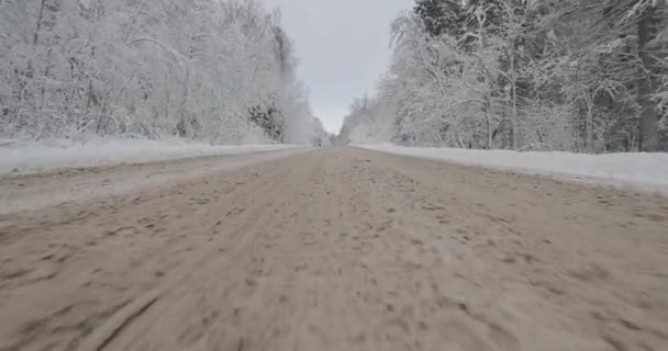 Driving by car in winter forest — Stock Video