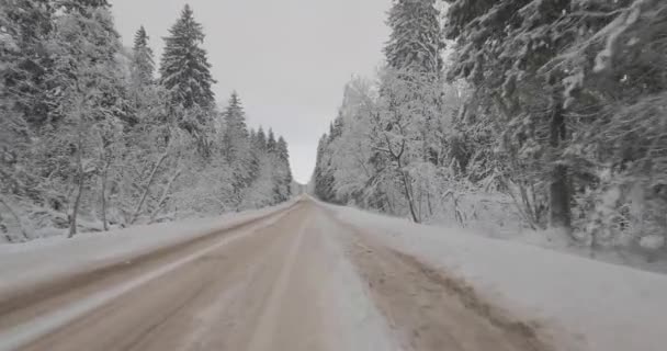 在冬季森林中开车 — 图库视频影像