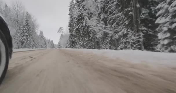 Driving by car in winter forest — Stock Video
