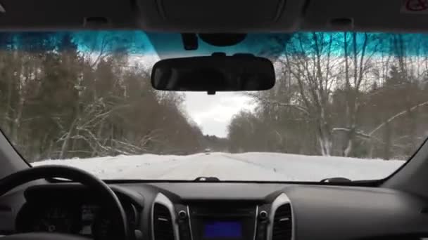 Conducir en coche en clima nublado en invierno. vista desde la cabina — Vídeos de Stock