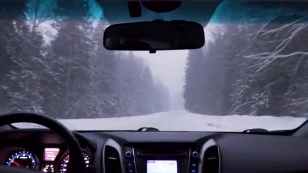 吹雪の間に冬の田舎道で車を運転する — ストック動画