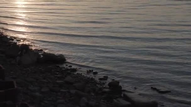 日没時のフィンランド湾の海岸 — ストック動画