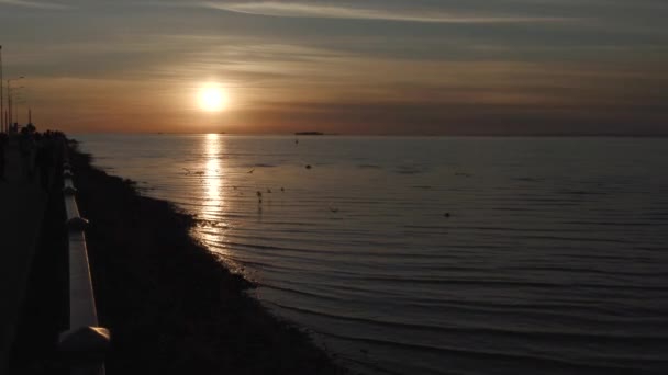 Kust van de Golf van Finland bij zonsondergang — Stockvideo
