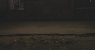 Yeni Yıl sokak dekorasyonu