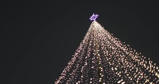 Nieuwjaar lichten. Stadsvakantie verlichting — Stockvideo