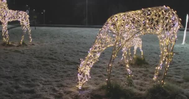 Herten Garland Nieuwjaar straat decoratie — Stockvideo