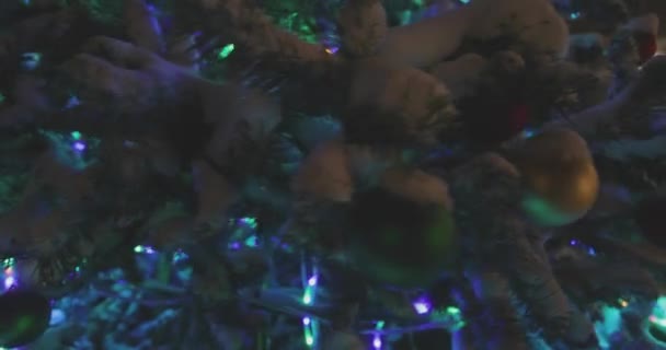 Χριστουγεννιάτικο δέντρο κάτω από το χιόνι τη νύχτα — Αρχείο Βίντεο