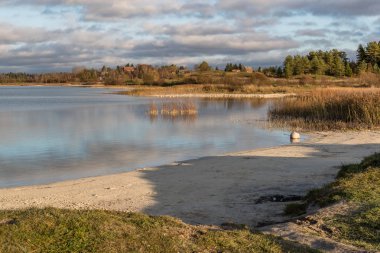 Gündüz Donzo Rusya köyünde Kurlevsky ocağı