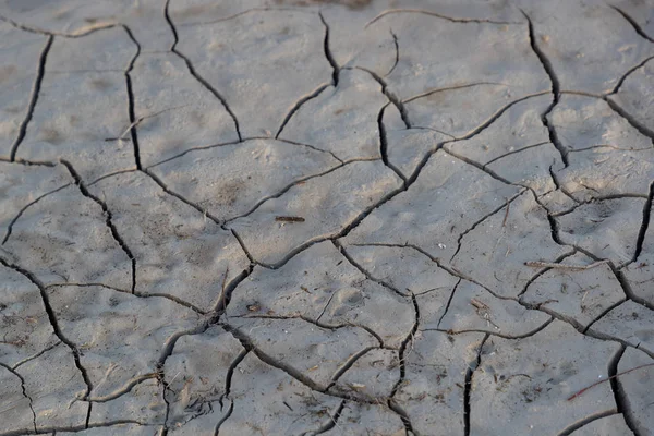 昼間のひび割れた灰色と乾燥した土の質感 — ストック写真
