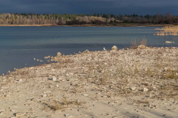 Kurlevsky quarry met vogel in het dorp van Donzo Rusland overdag — Stockfoto