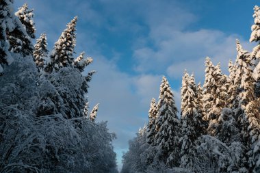 Rusya 'da kar yağan soğuk ve kış manzaraları