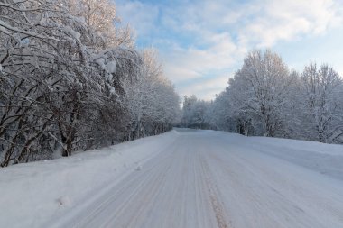 Rusya 'da kar yağan soğuk ve kış manzaraları