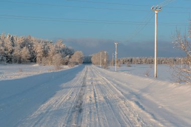 Rusya 'da kar yağan soğuk ve kış manzaraları