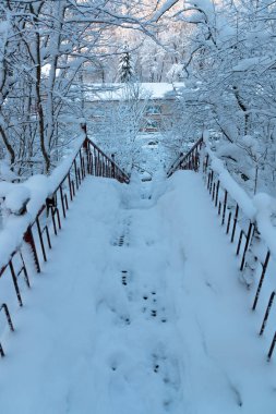 Rusya 'da kar yağan soğuk ve kış manzaraları