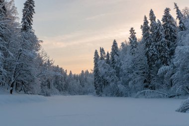 Rusya 'da kar yağan soğuk ve kış manzaraları