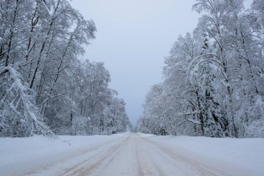 Rusya 'da kar yağan soğuk ve kış manzaraları