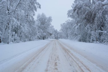 Rusya 'da kar yağan soğuk ve kış manzaraları