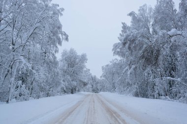 Rusya 'da kar yağan soğuk ve kış manzaraları