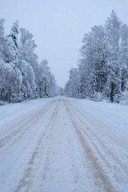 Rusya 'da kar yağan soğuk ve kış manzaraları