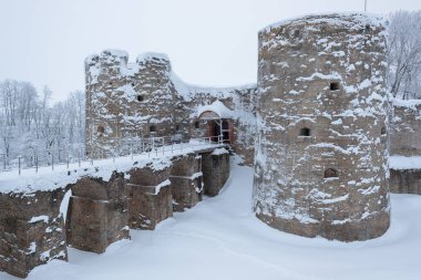 Rusya 'da kar yağan soğuk ve kış manzaraları