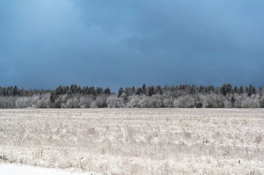 Rusya 'da kar yağan soğuk ve kış manzaraları