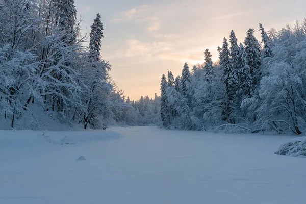 Kälte- und Winterlandschaften mit Schnee in Russland — Stockfoto