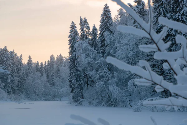 Kälte- und Winterlandschaften mit Schnee in Russland — Stockfoto