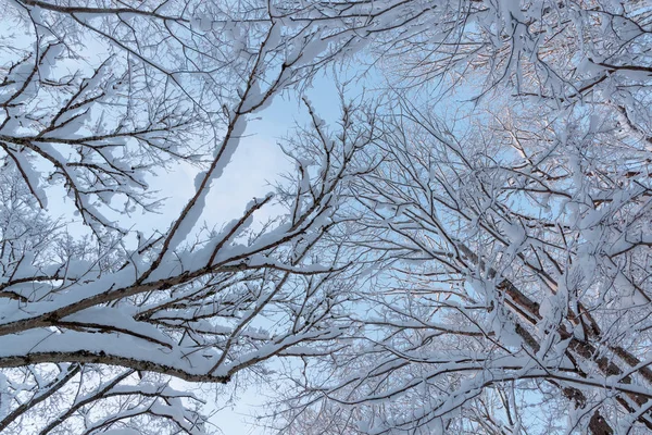 Paisagens frias e de inverno com neve na Rússia — Fotografia de Stock