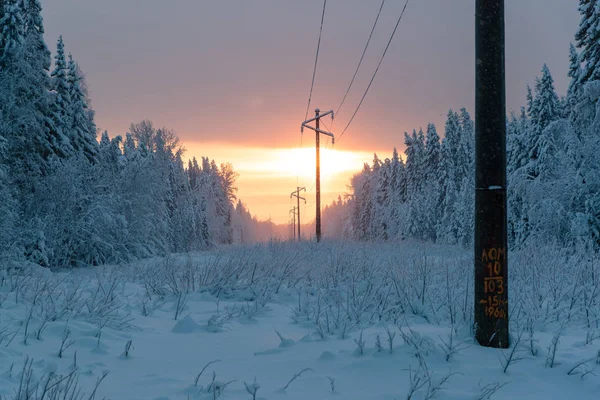 Cold and winter landscapes with snow in Russia — Stock Photo, Image