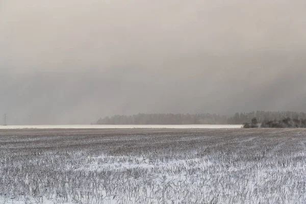 Kälte- und Winterlandschaften mit Schnee in Russland — Stockfoto