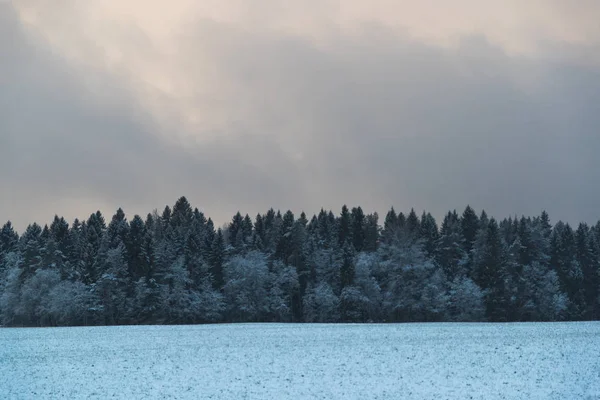 Kalla och vinter landskap med snö i Ryssland — Stockfoto