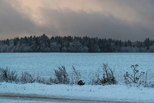 Kalla och vinter landskap med snö i Ryssland — Stockfoto