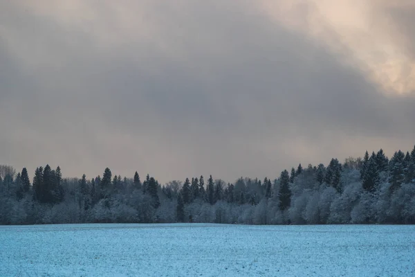 Kalla och vinter landskap med snö i Ryssland — Stockfoto