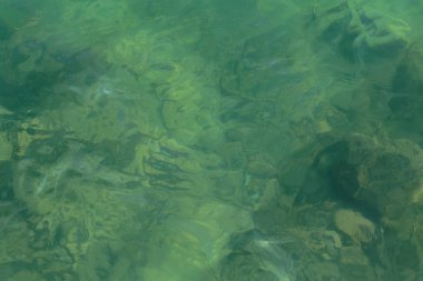 yeşil silt bir arka plan üzerinde su