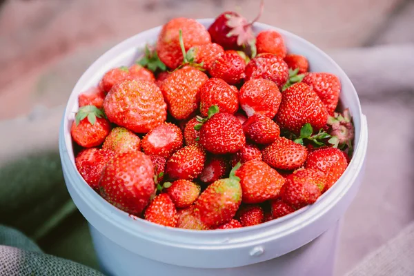 Fresas naturales y frescas en el viento blanco — Foto de Stock