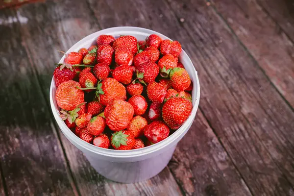 Fresas naturales y frescas en el viento blanco — Foto de Stock