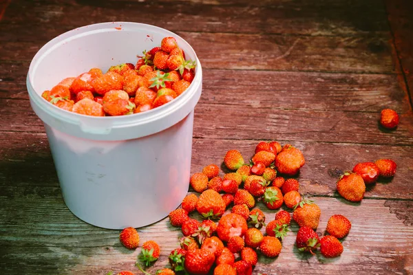 Fresas naturales y frescas en el viento blanco — Foto de Stock