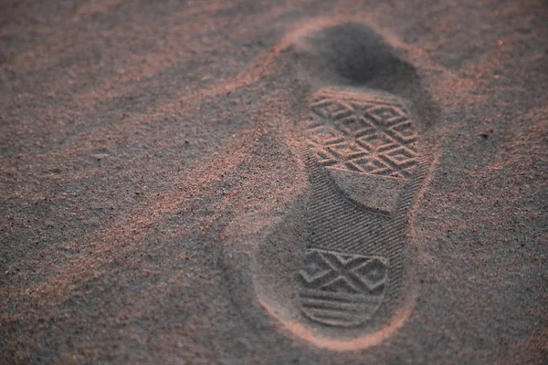 Ślad butów na mokrej piaszczystej plaży — Zdjęcie stockowe