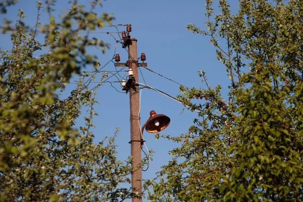 Ormanda elektronik teller ile destek — Stok fotoğraf