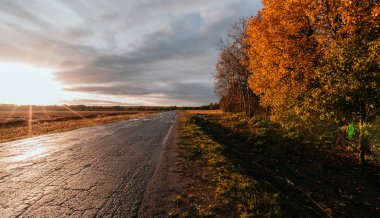 parlak güneş ve sonbahar ormanında yol