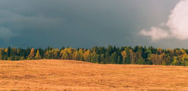 Sonbahar ormanı ve tarlası