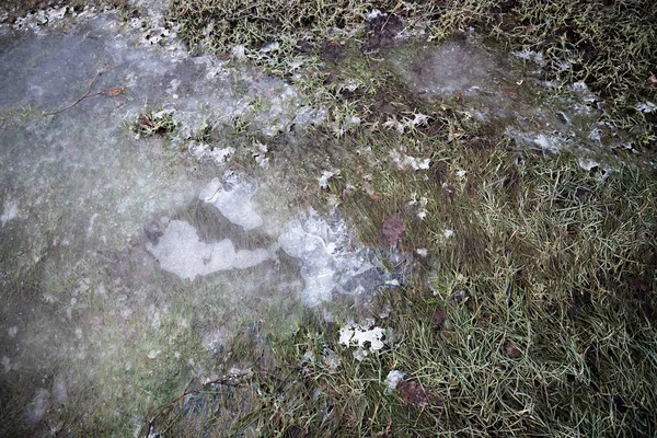 Замерзшая вода в луже — стоковое фото