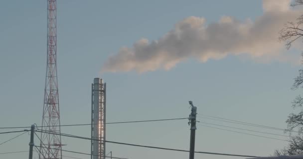 Белый густой дым из дымохода во время мороза — стоковое видео